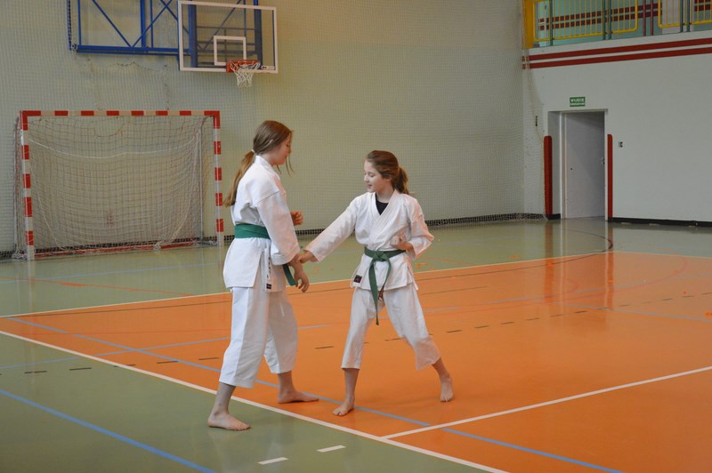 Gallery image 4392