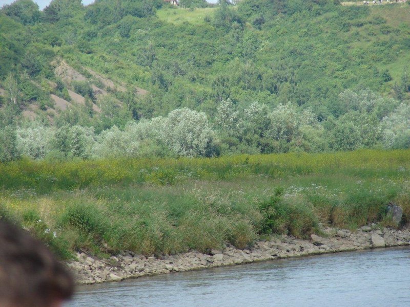 Gallery image 2288