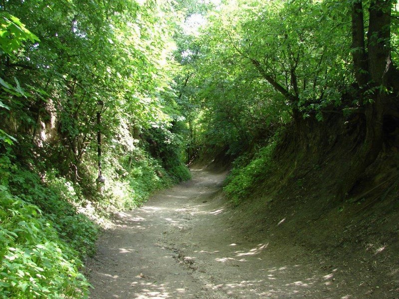 Gallery image 2265