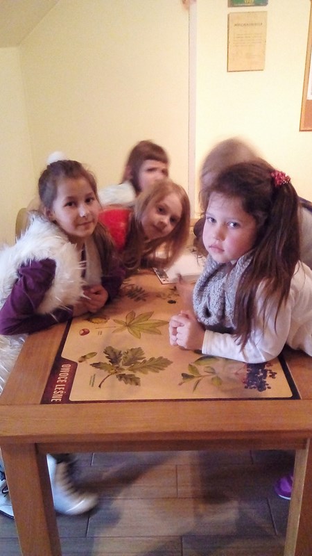 Gallery image 5415