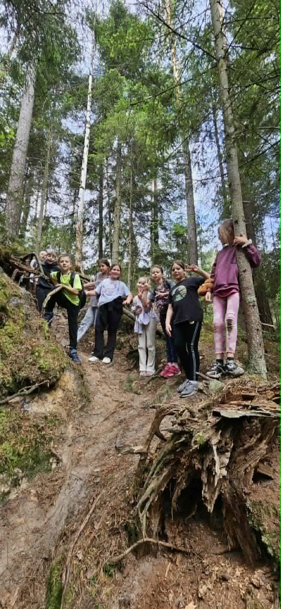 Szumy (2)