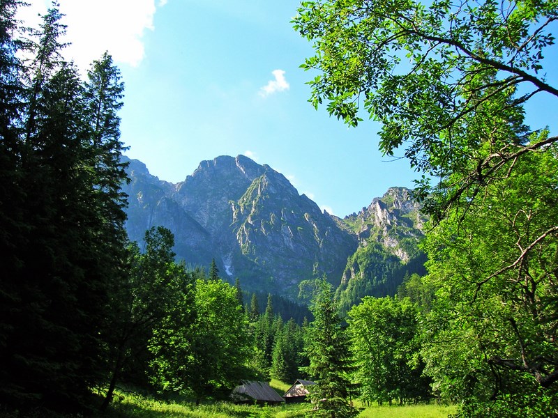 Wycieczka do Zakopanego