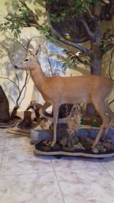 Gallery image 5425