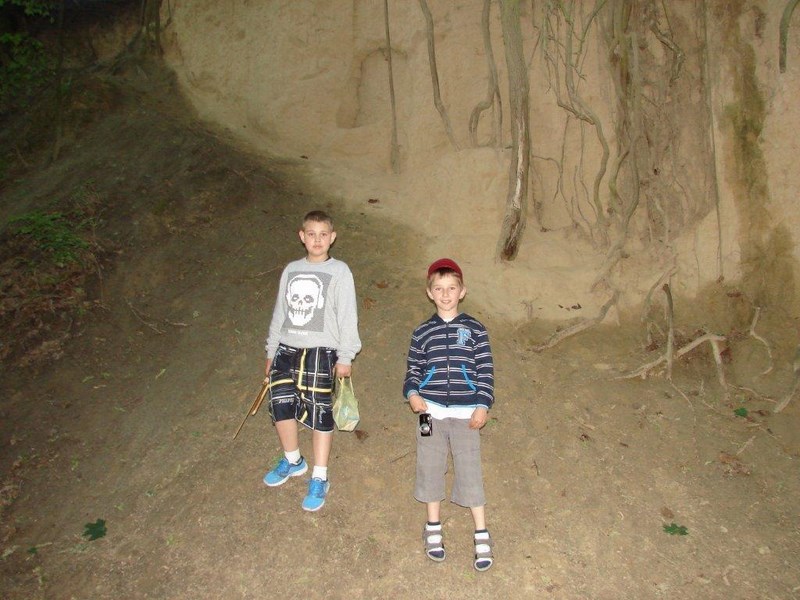 Gallery image 2278