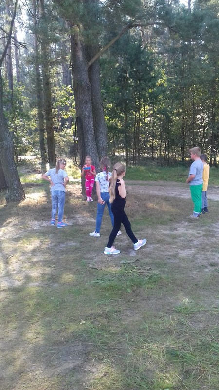 Gallery image 6879
