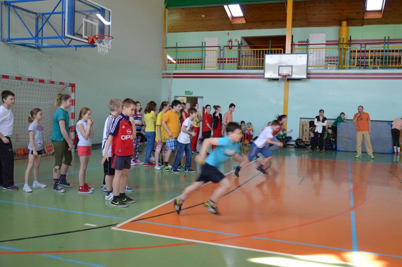 Gallery image 545
