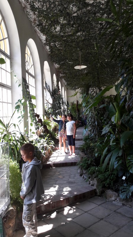 Gallery image 3521