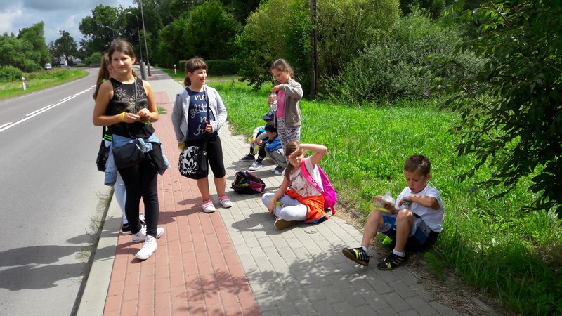 Gallery image 3494