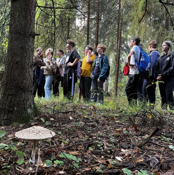 Klasy 7 w "Jedlinie"