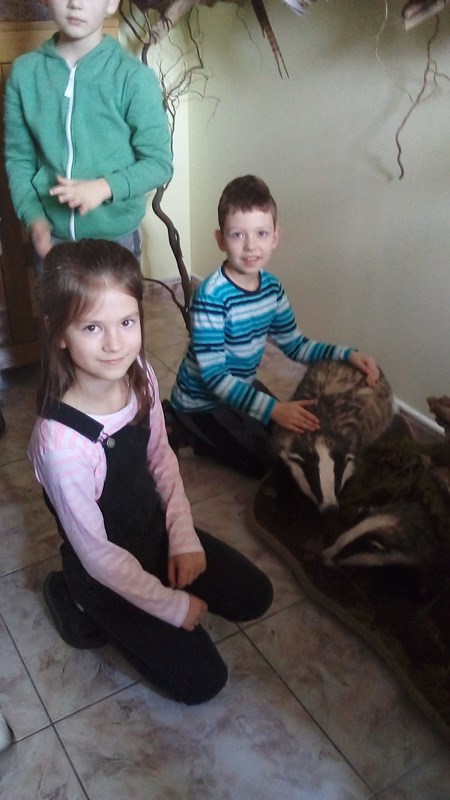 Gallery image 5406