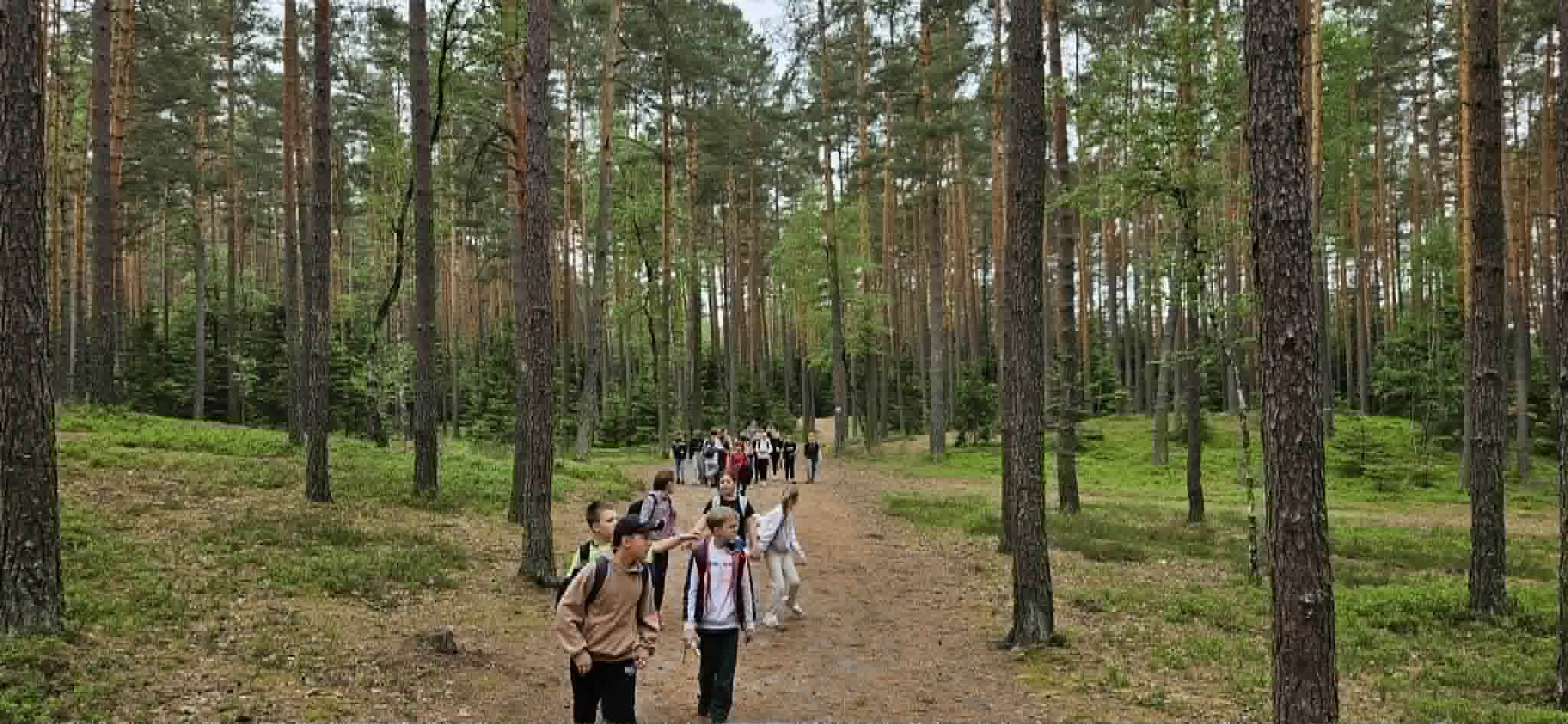 Szumy (4)