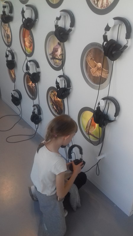 Gallery image 6281