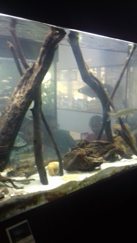 Gallery image 6290