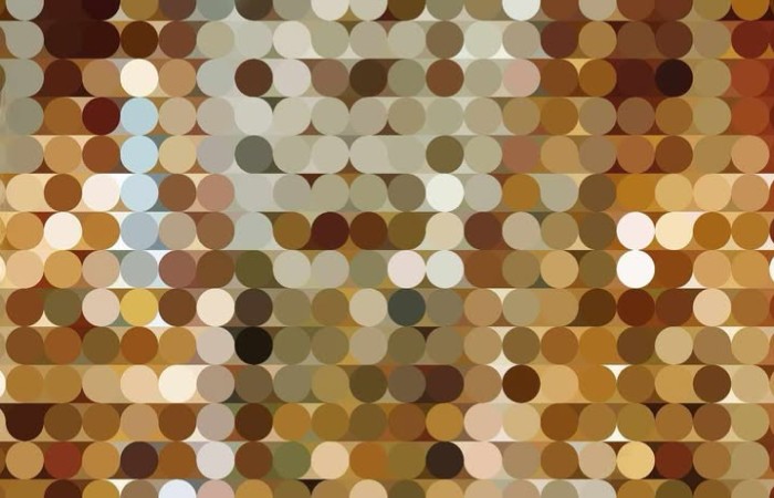 494358117_2414918638881162_2674301669593588921_n