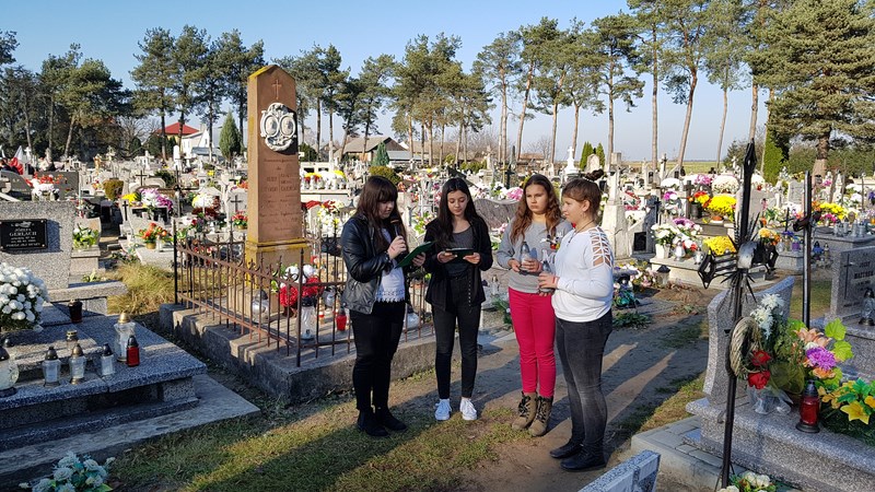 Gallery image 7096