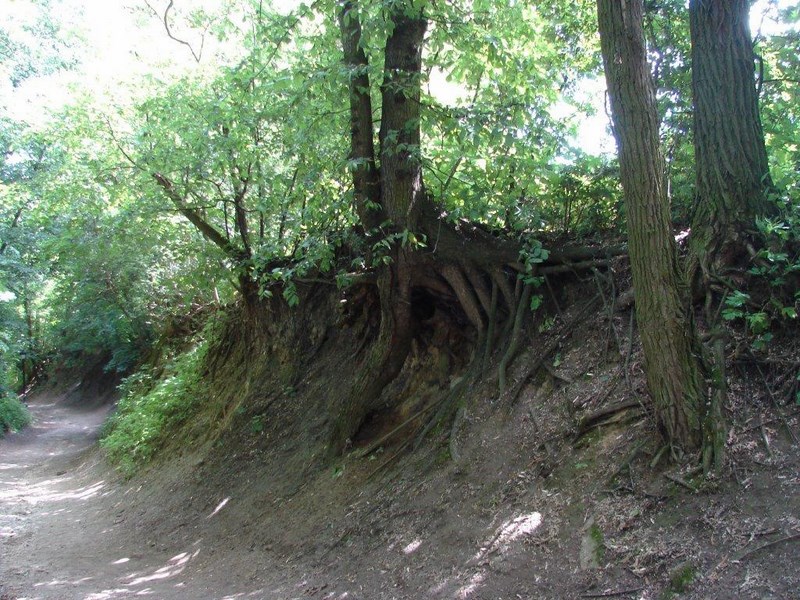 Gallery image 2264