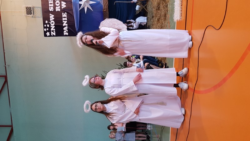 Gallery image 7397