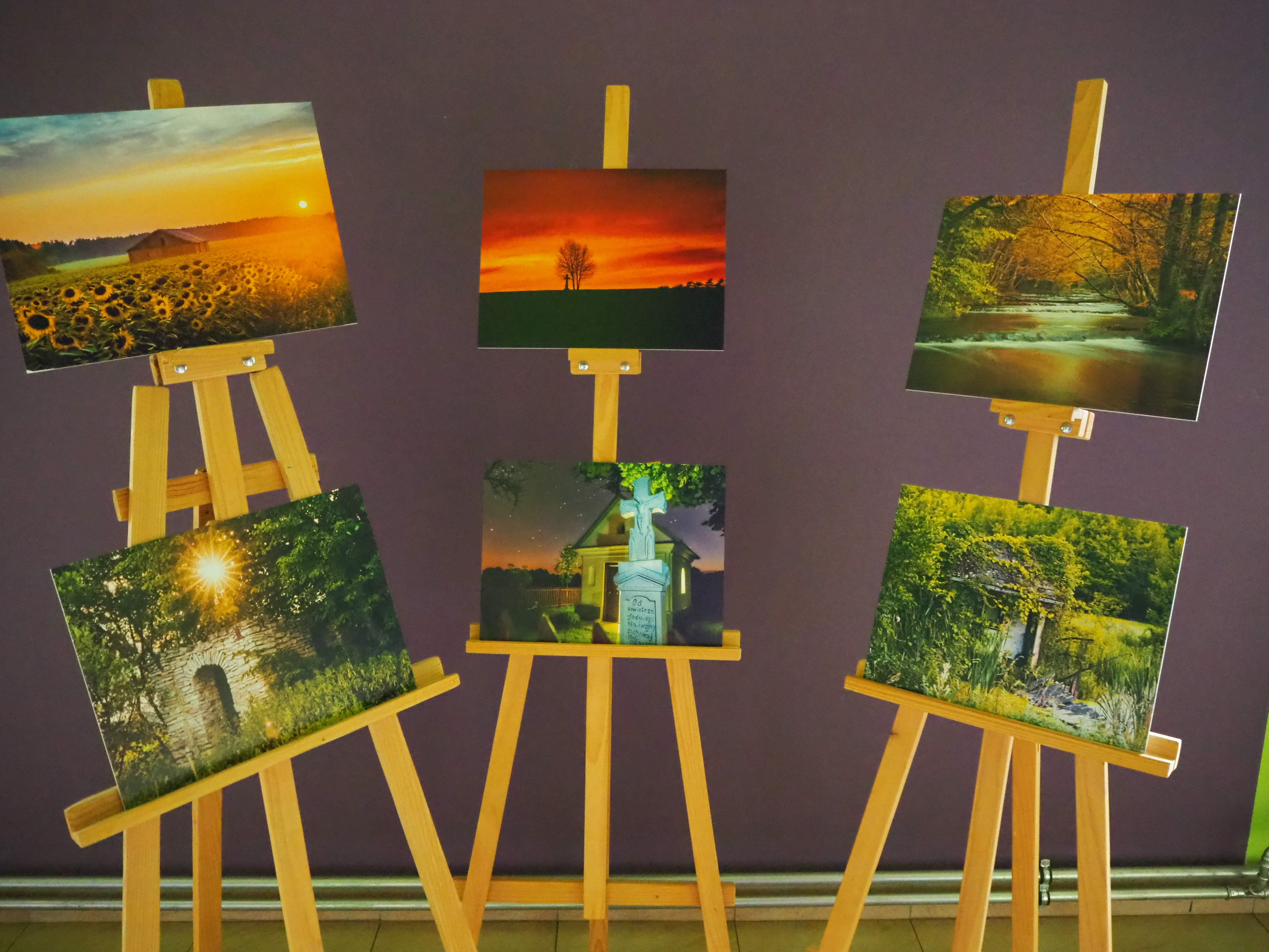 Wernisaż wystawy fotograficznej Alicji Mróz