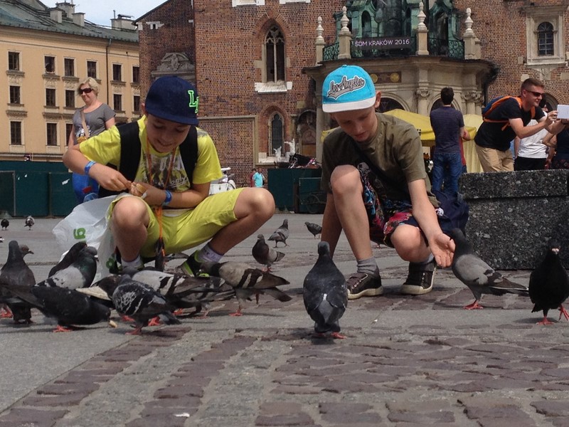 Gallery image 3348
