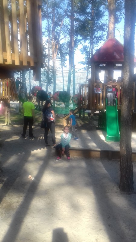 Gallery image 6293