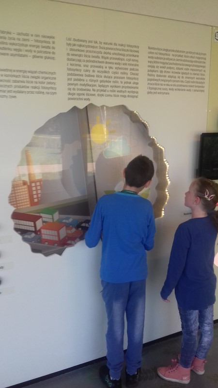 Gallery image 6289