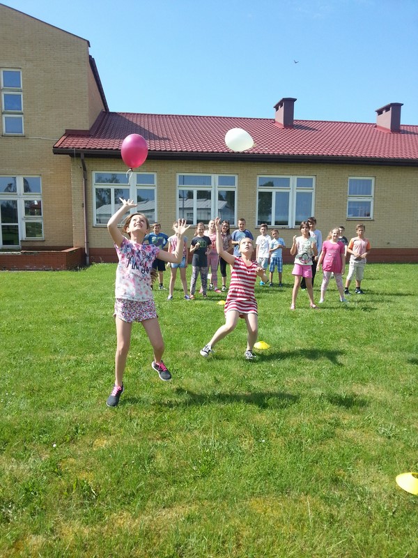 Gallery image 3247