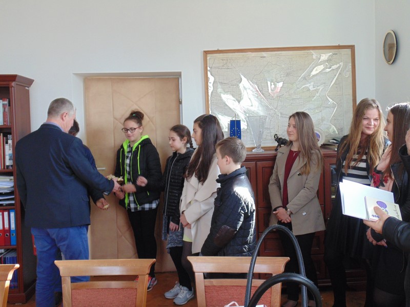Gallery image 4485
