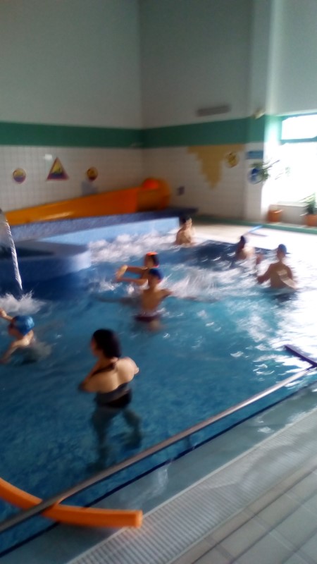 Gallery image 8599