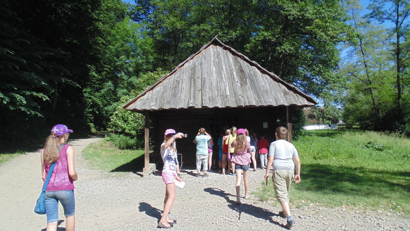 Gallery image 1201