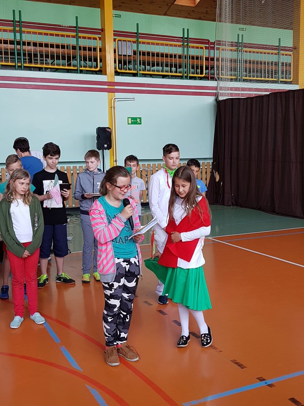 Gallery image 7881
