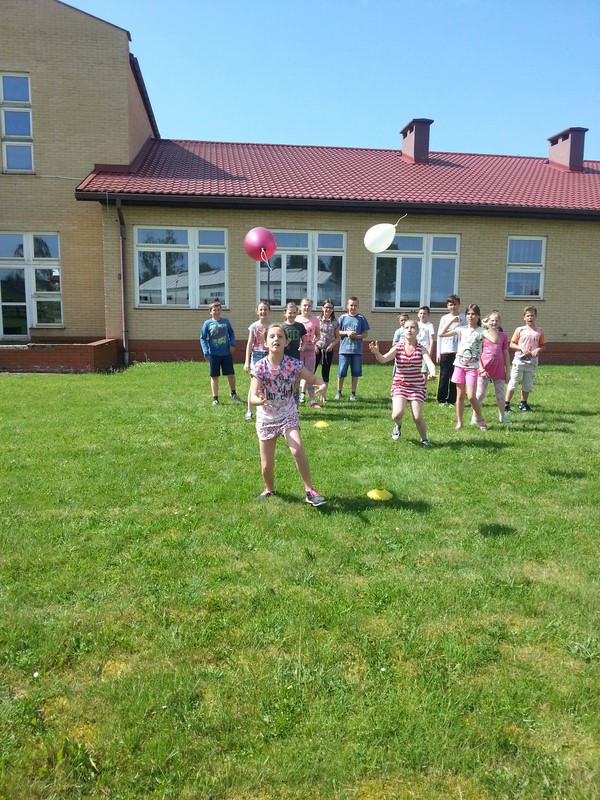 Gallery image 3246