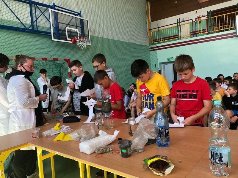Gallery image 10238