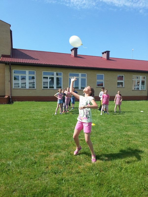 Gallery image 3248