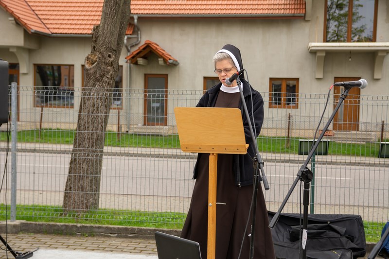 Gallery image 6343