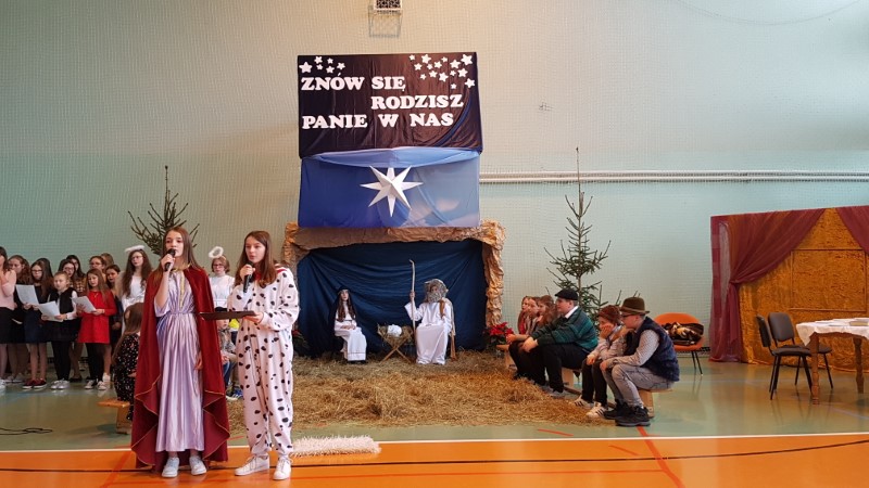 Gallery image 7391
