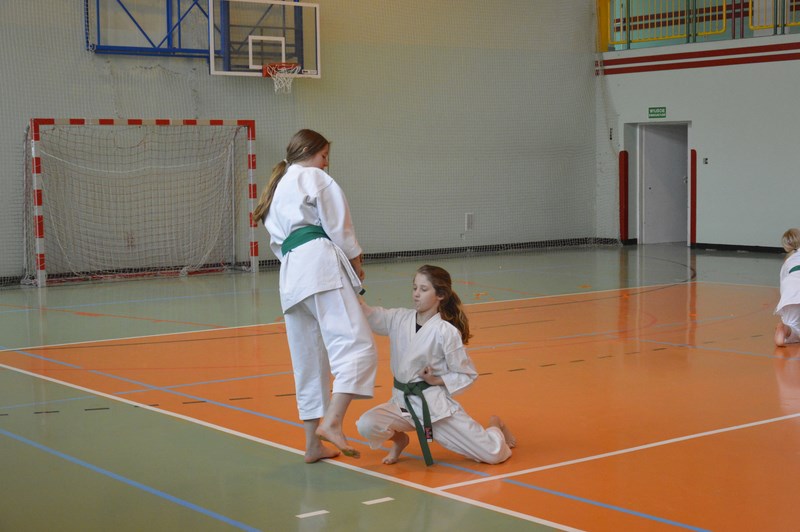 Gallery image 4393