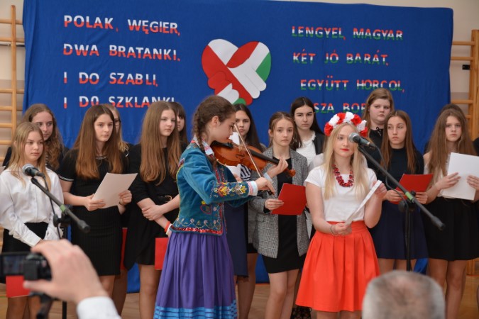 Gallery image 7982