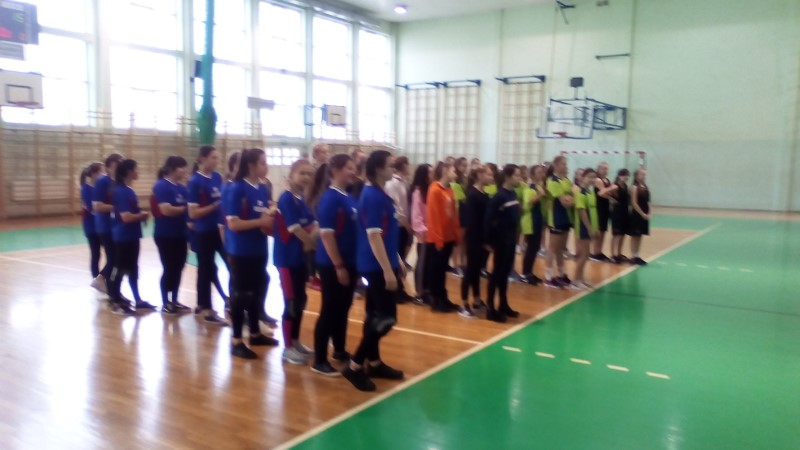 Gallery image 7666