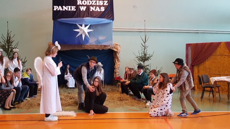 Gallery image 7393