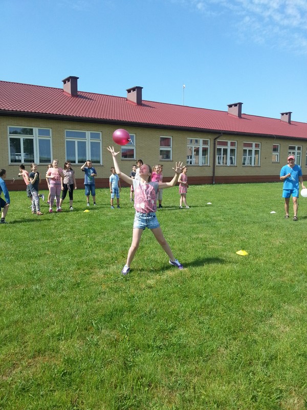 Gallery image 3249