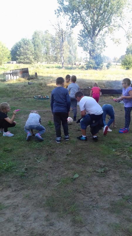 Gallery image 6884