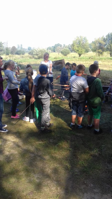 Gallery image 6878